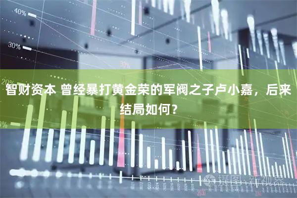 智财资本 曾经暴打黄金荣的军阀之子卢小嘉，后来结局如何？