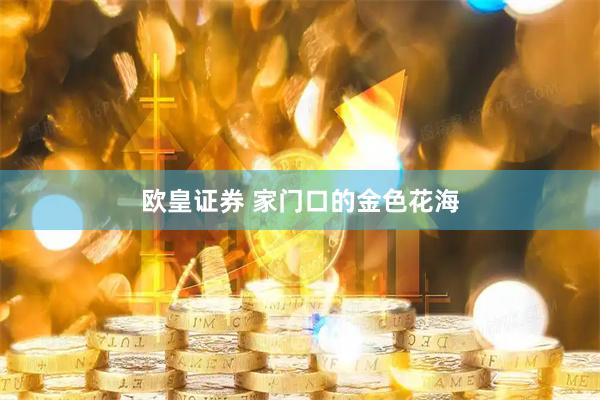 欧皇证券 家门口的金色花海