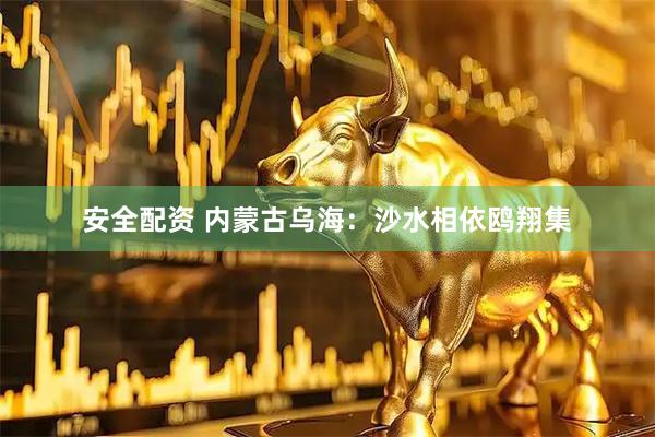 安全配资 内蒙古乌海：沙水相依鸥翔集