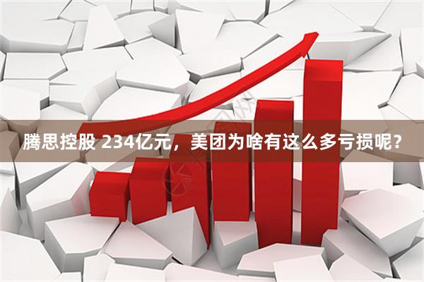 腾思控股 234亿元，美团为啥有这么多亏损呢？
