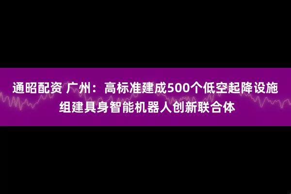 通昭配资 广州：高标准建成500个低空起降设施 组建具身智能机器人创新联合体